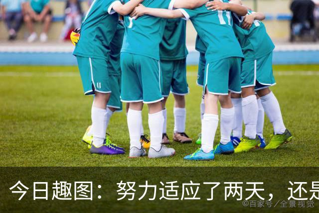 今日趣图：努力适应了两天，还是适应不了补水时间放广告……